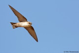 Rock Martin