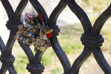 Love locks near Vatican - very European