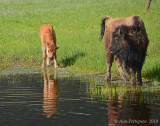 Seeing Her Reflection