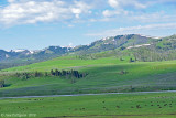 Lamar River Valley