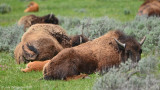 Resting