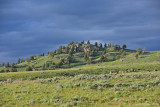 Near Slough Creek