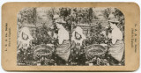 Victorian Stereoview