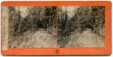 Victorian Stereoview Photo