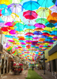 Águeda - Os Chapéus-de-Chuva Coloridos