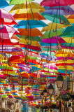 Águeda - Os Chapéus-de-Chuva Coloridos