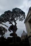 Vatican Gardens - 10.jpg