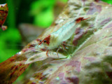 IMG_5835s.jpg