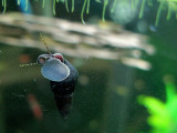 IMG_5860s.jpg
