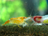 IMG_5893s.jpg
