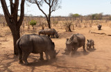 zambia