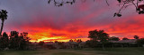 Sunset from my backyard Monday Jan 29, 2019