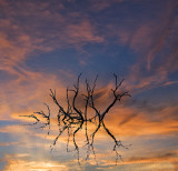 Photo Art