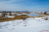 parc-vacaresti-iarna-bucuresti.jpg