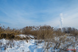 parc-vacaresti-iarna-bucuresti_15.jpg