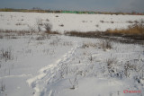 parc-vacaresti-iarna-bucuresti_26.JPG