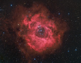 Rosette Nebula