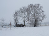 winter