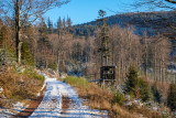 la forêt de Grendelbruch en hiver