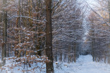 le col des Pandours