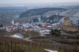 a walk from the sunny vineyard to the snowy mountains