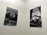 Le monde appartient à ceux qui se lèvent tôt (2002) - Barbara Visser - 8072