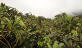 Morne Seychellois National Park