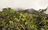 Morne Seychellois National Park