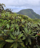 Morne Seychellois National Park