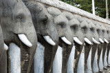 elephants at the Ruwanwelisaya Stupa