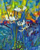 Heather Wade<br>2019 Jan. Evening Favourites<br>Theme: Altered Reality<br>Church Lilies - 3rd