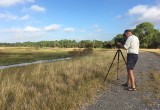 Harns Marsh Preserve, Florida