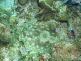 IMG_0029.JPG