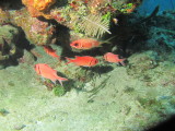 IMG_0057.JPG