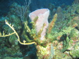 IMG_0011.JPG