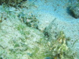 IMG_0026.JPG