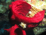 IMG_0044.JPG
