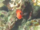 IMG_0064.JPG
