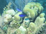 IMG_0066.JPG