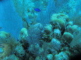 IMG_0068.JPG