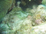 IMG_0029.JPG