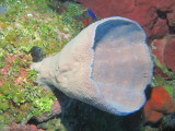 IMG_0071.JPG