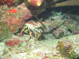 IMG_0074.JPG