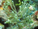 IMG_0082.JPG