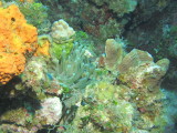 IMG_0085.JPG