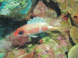 IMG_0089.JPG