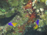 IMG_0118.JPG
