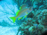 IMG_0128.JPG