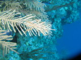 IMG_0134.JPG