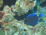 IMG_0163.JPG